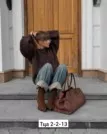Фото превью товара - #4